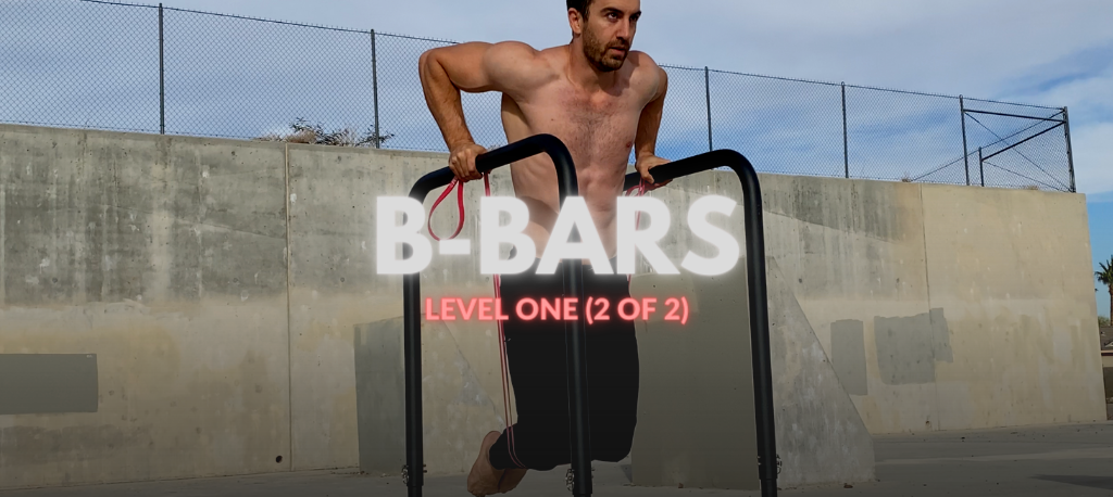 THE BEGINNERS B-BAR PROGRAM II