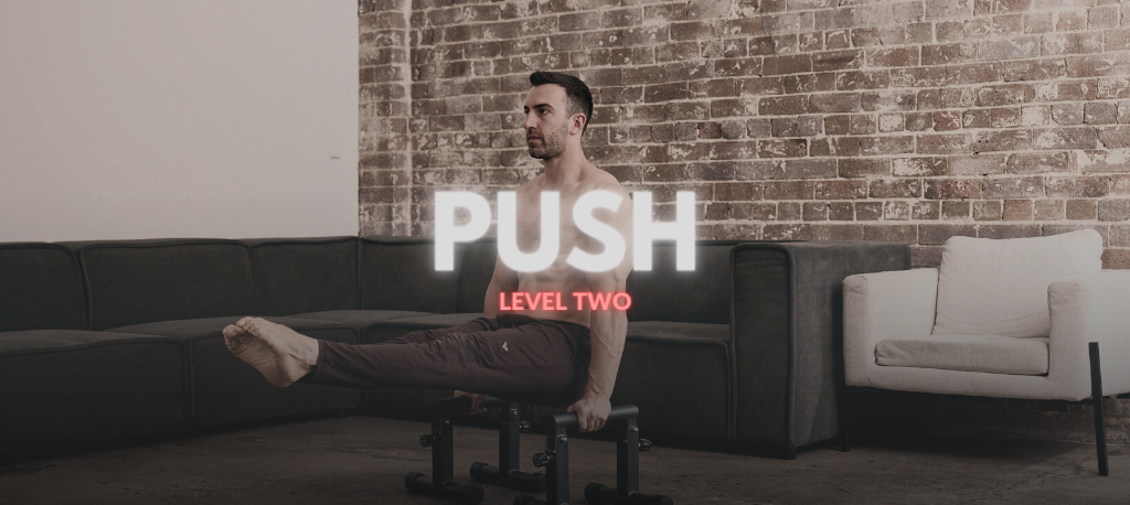 THE PUSH PROGRAM II