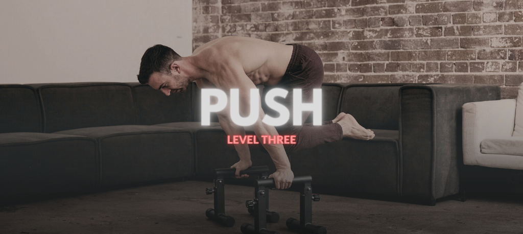 THE PUSH PROGRAM III
