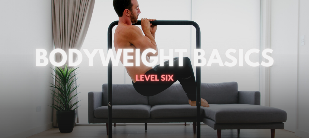 BODYWEIGHT BASICS  VI